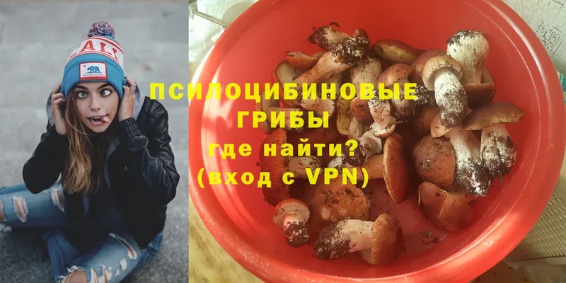 Галлюциногенные грибы Psilocybe  Зарайск 