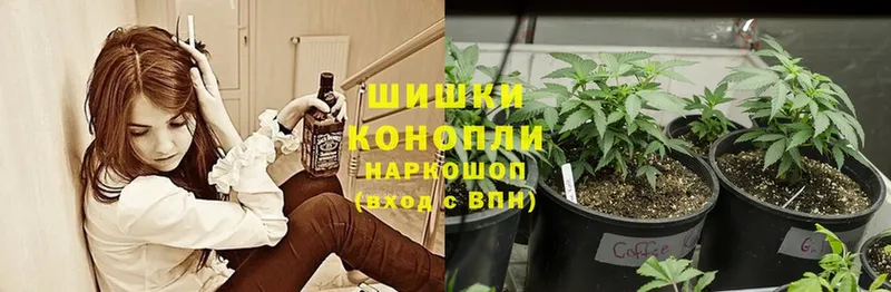 Канабис White Widow  Зарайск 